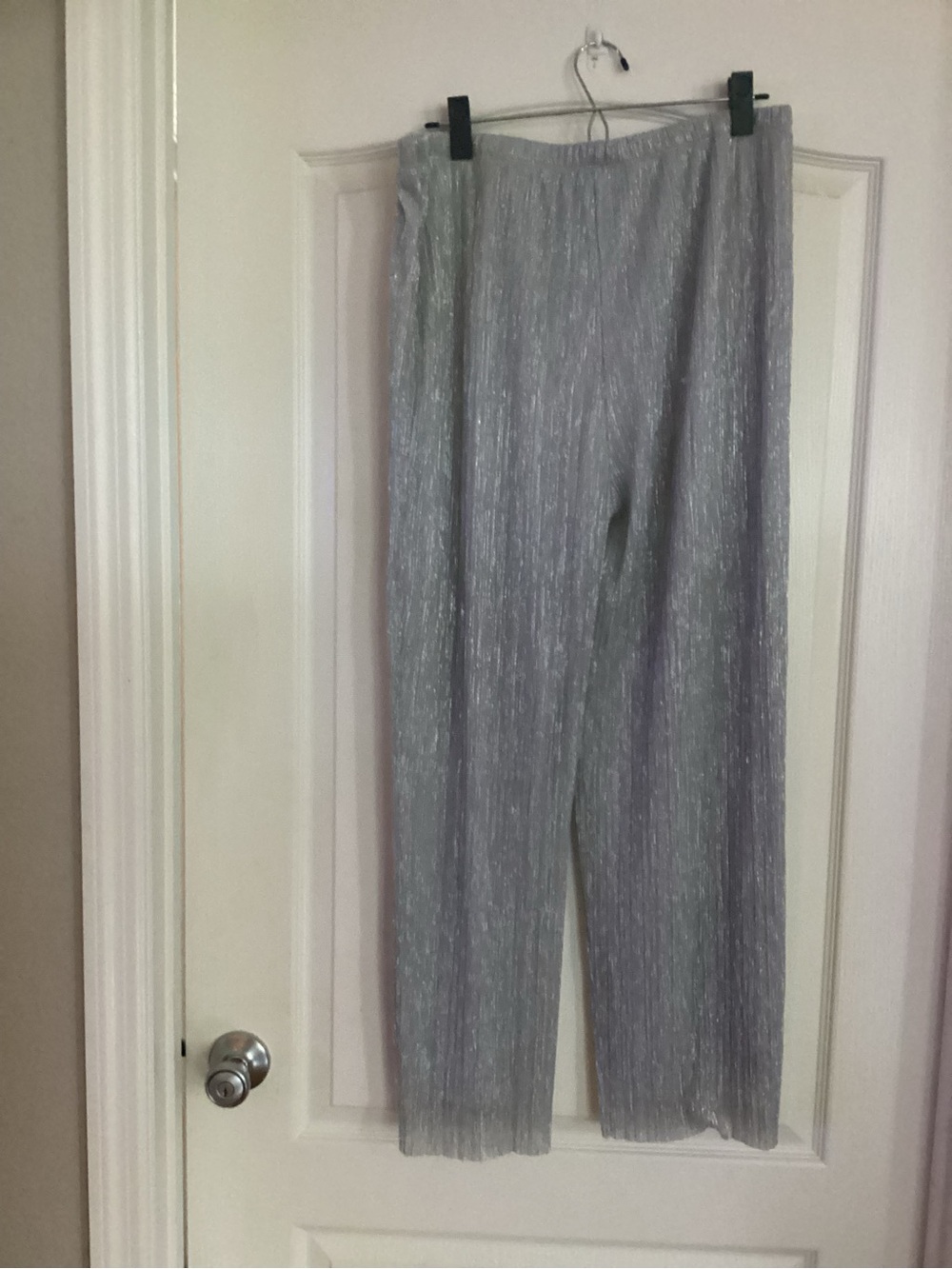 Metallic Silver Wide-Leg Pleated Pants - Picture 2 of 3